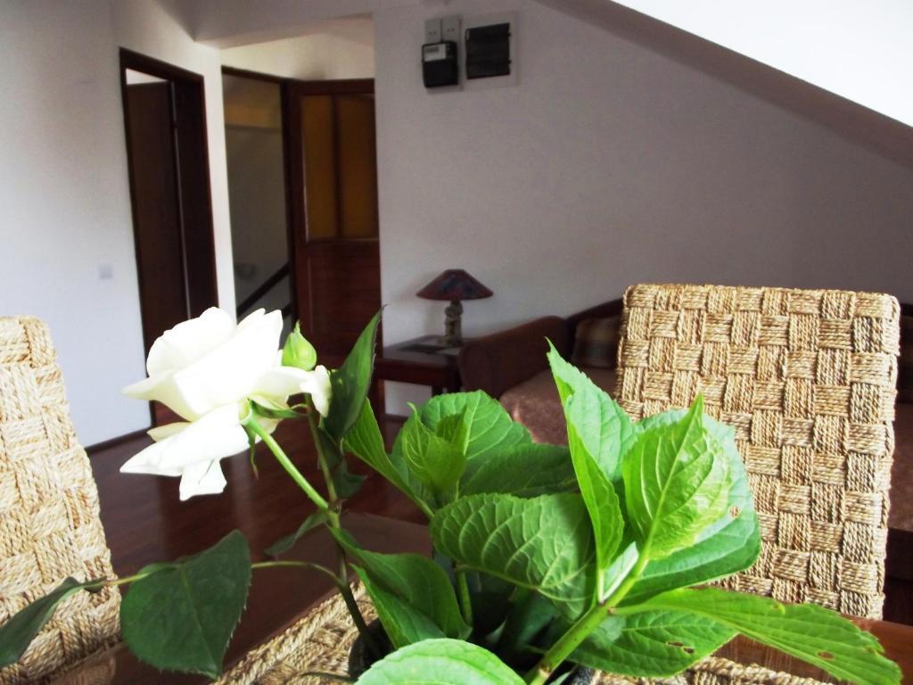 Apartments Budva Center Szoba fotó